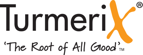 TurmeriX Logo